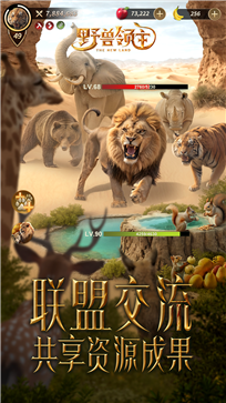 野兽领主新世界棋牌乐官网版游戏截图1